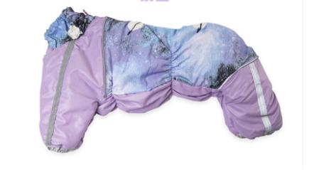 Puppy Dog Clothing